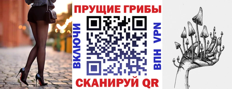 Псилоцибиновые грибы Psilocybine cubensis  Цивильск 