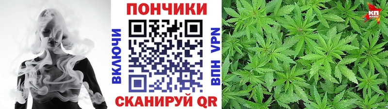 магазин  наркотиков  Цивильск  Каннабис Bruce Banner 